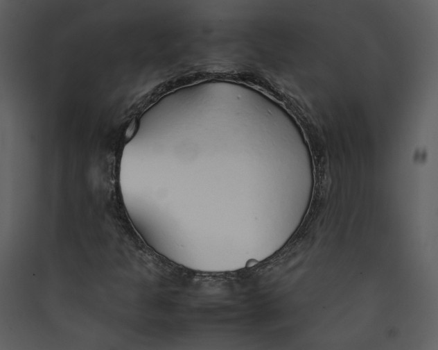 X0000089361301200707131606