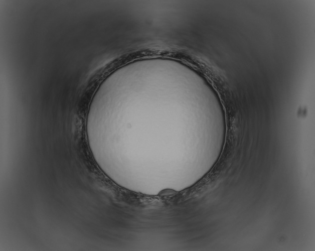 X0000089361302200707131606