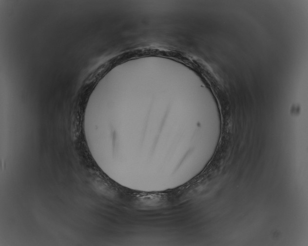 X0000089361303200707131606