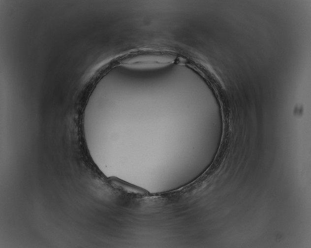 X0000089361304200707131606