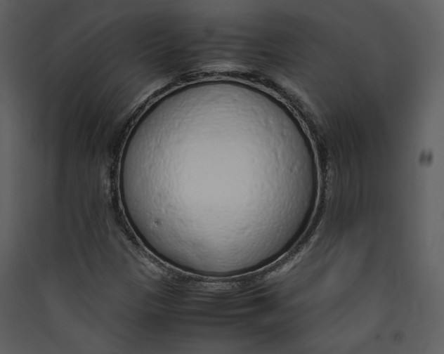 X0000089361305200707131606