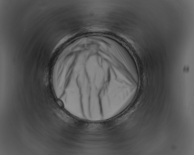 X0000089361306200707131606