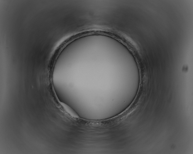 X0000089361310200707131607