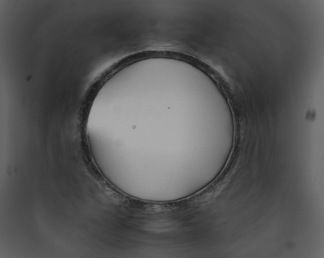 X0000089361311200707131607