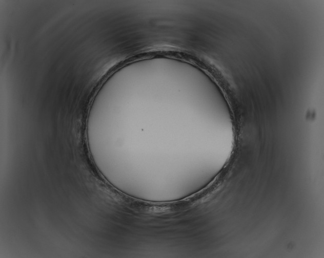 X0000089361313200707131607