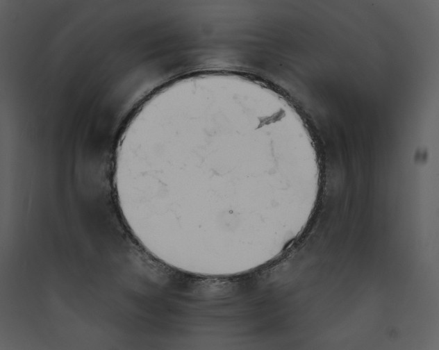 X0000089361314200707131607