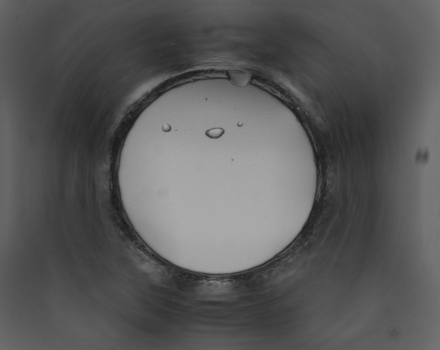 X0000089361315200707131607