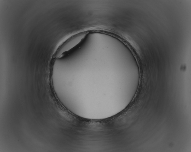 X0000089361316200707131607
