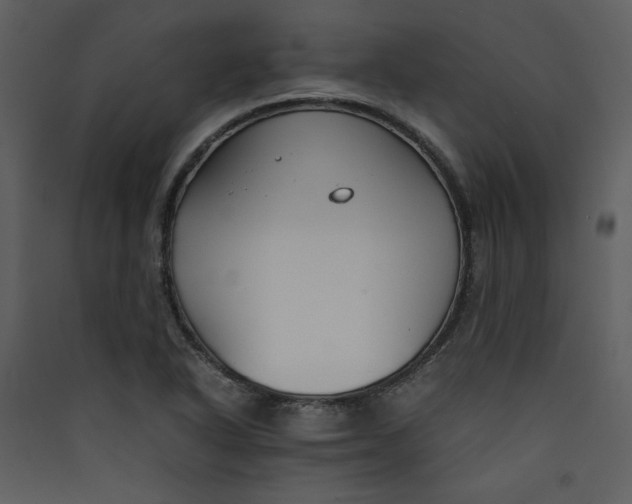 X0000089361318200707131607