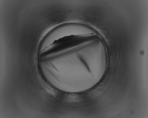 X0000089361319200707131607