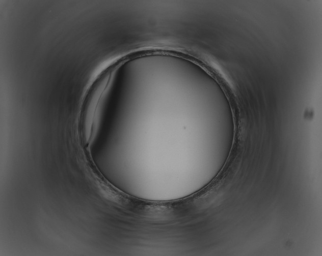 X0000089361320200707131607
