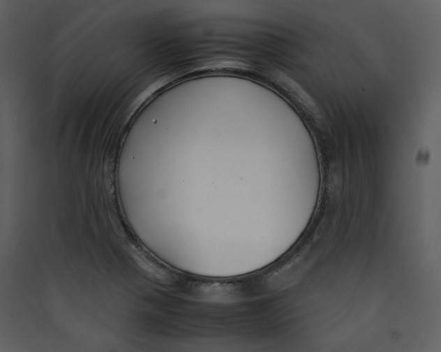 X0000089361321200707131607