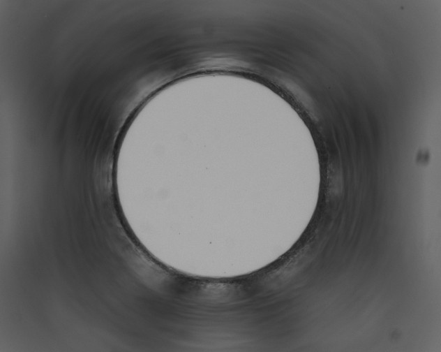 X0000089361322200707131607
