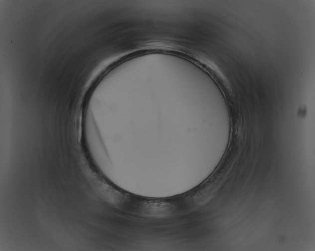 X0000089361323200707131607