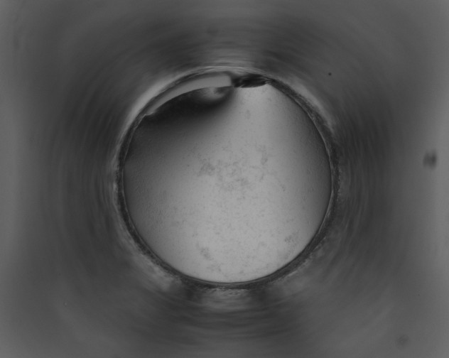 X0000089361325200707131607