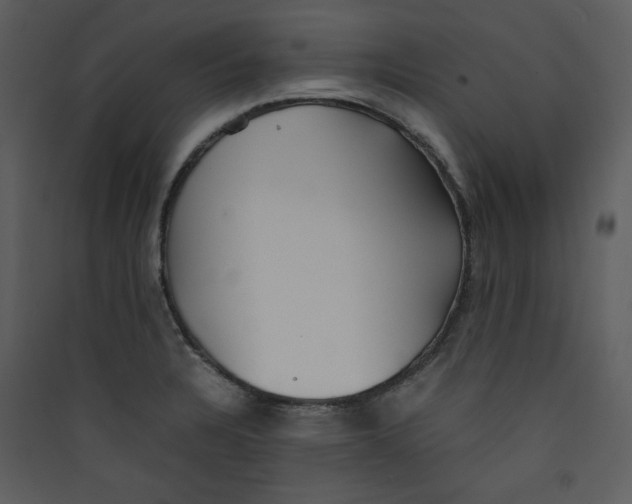 X0000089361328200707131607