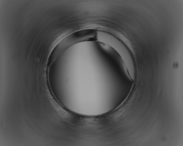 X0000089361330200707131607