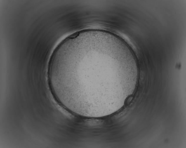 X0000089361331200707131607