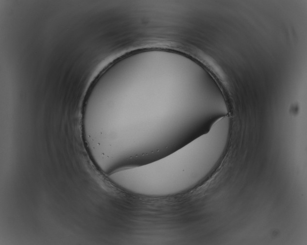 X0000089361332200707131607