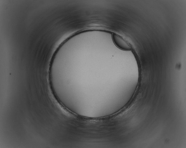 X0000089361333200707131607