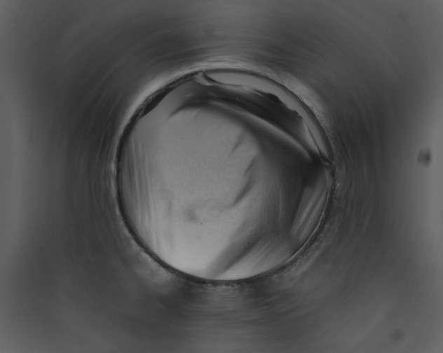 X0000089361334200707131607