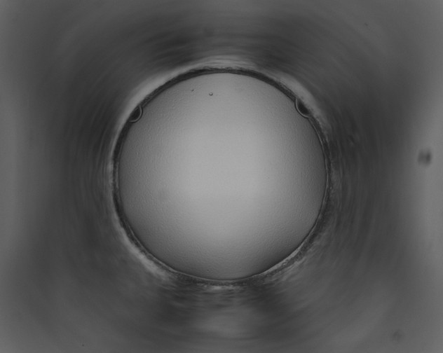 X0000089361335200707131607