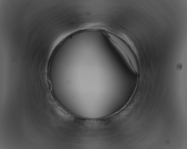 X0000089361336200707131607