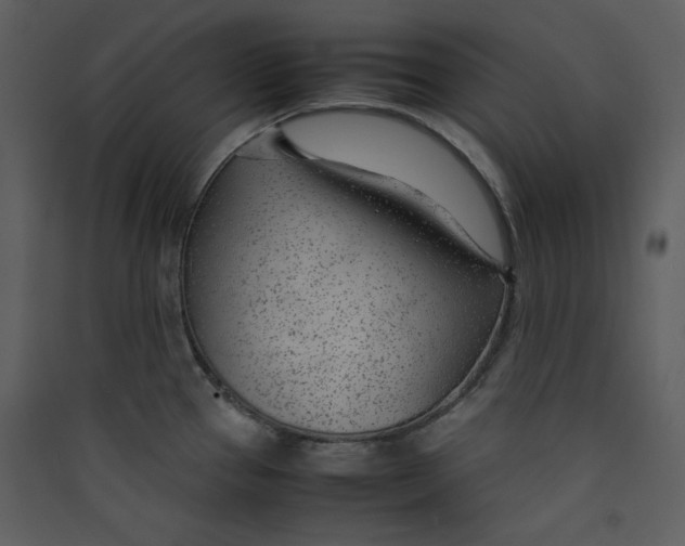 X0000089361337200707131607