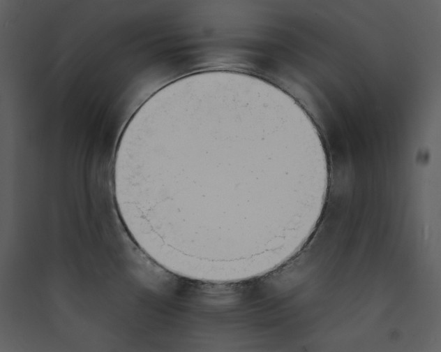 X0000089361338200707131607