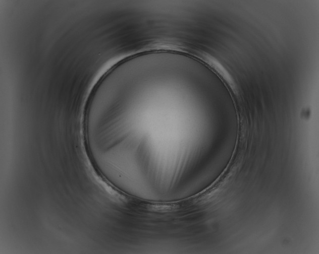 X0000089361339200707131607