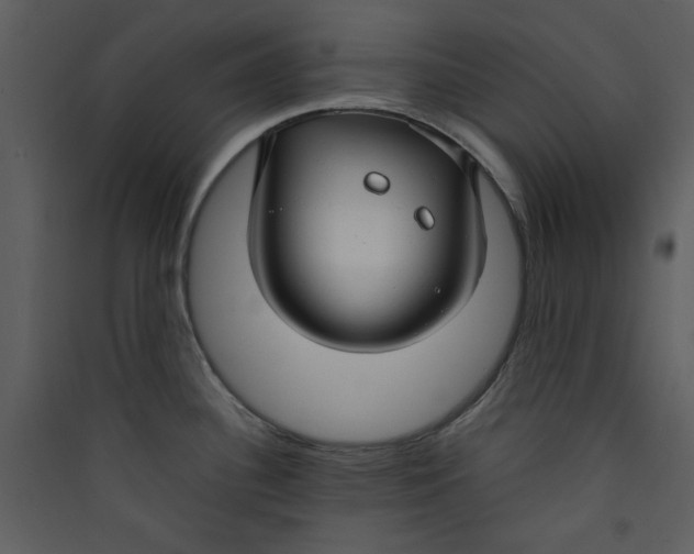 X0000089361340200707131607