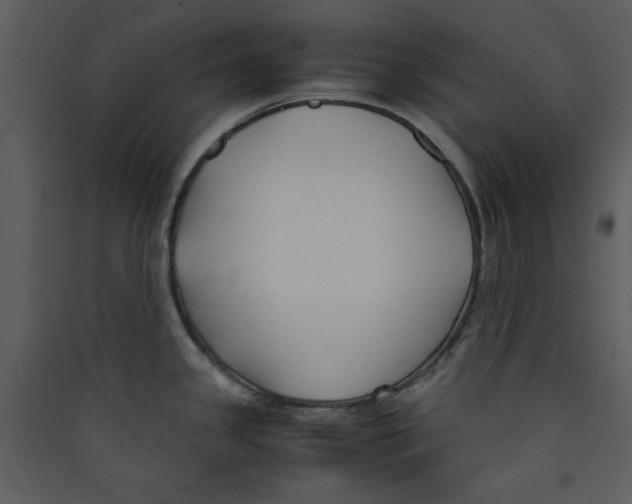 X0000089361341200707131607