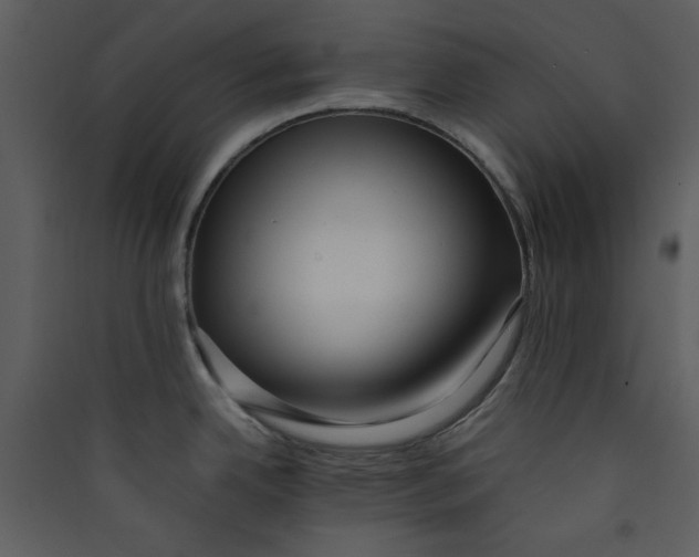 X0000089361342200707131607