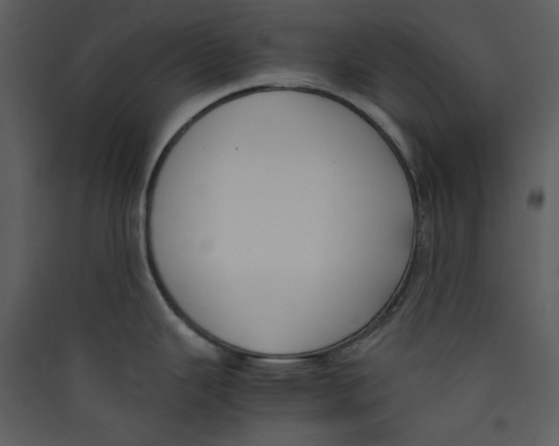 X0000089361343200707131607
