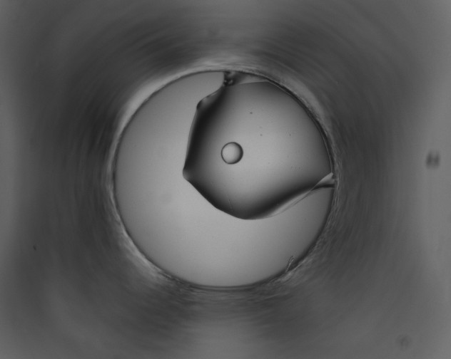 X0000089361344200707131607