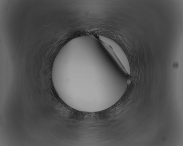 X0000089361345200707131606