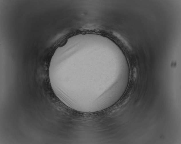 X0000089361350200707131606