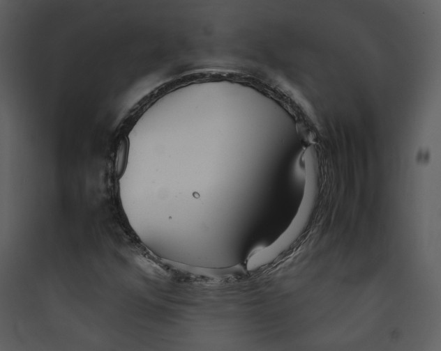 X0000089361352200707131606