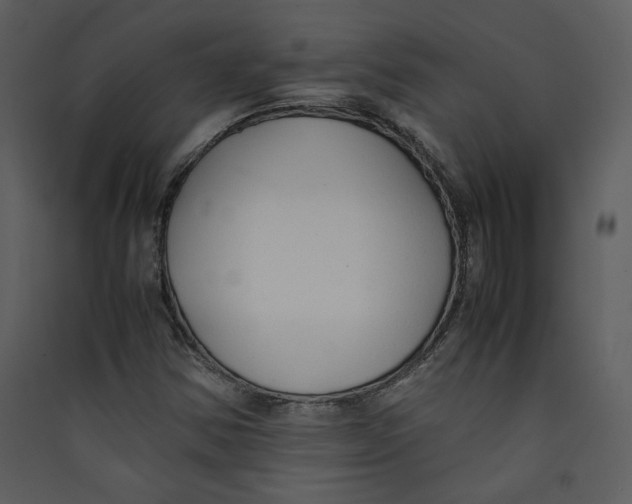X0000089361354200707131606