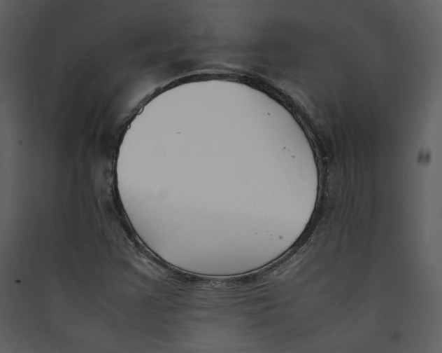 X0000089361355200707131606