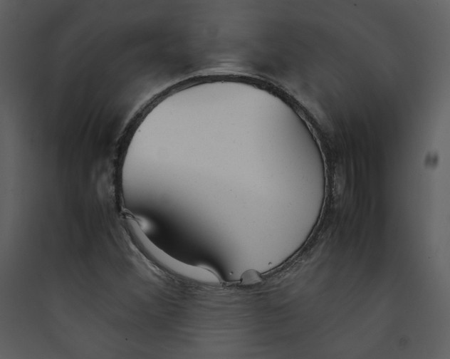 X0000089361356200707131606