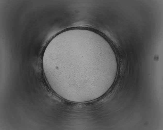 X0000089361358200707131606