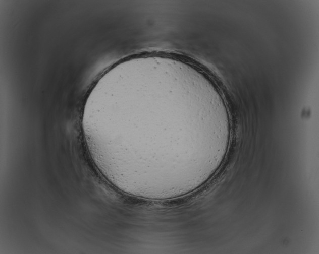 X0000089361359200707131606