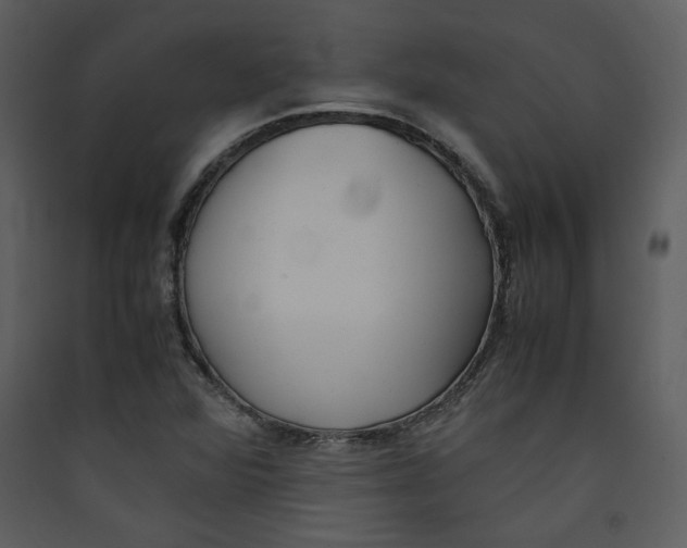 X0000089361360200707131606