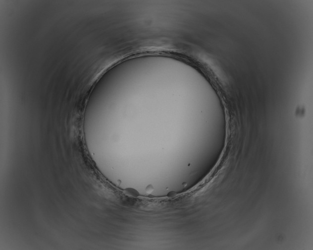 X0000089361361200707131606