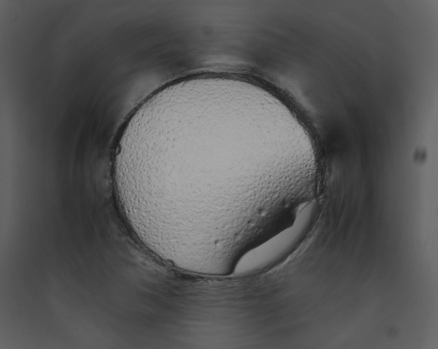 X0000089361362200707131606
