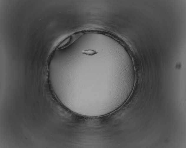 X0000089361363200707131606