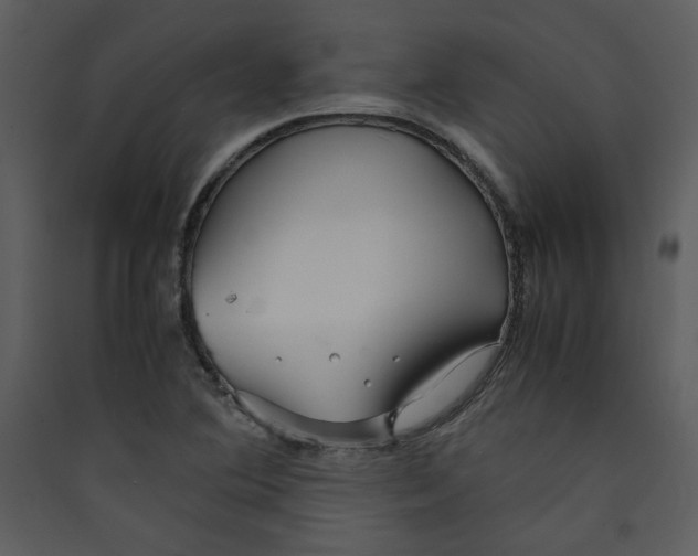 X0000089361364200707131606