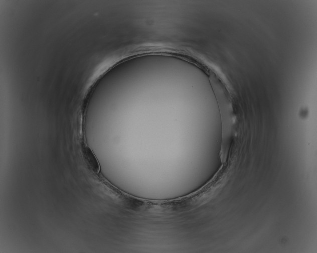X0000089361365200707131606