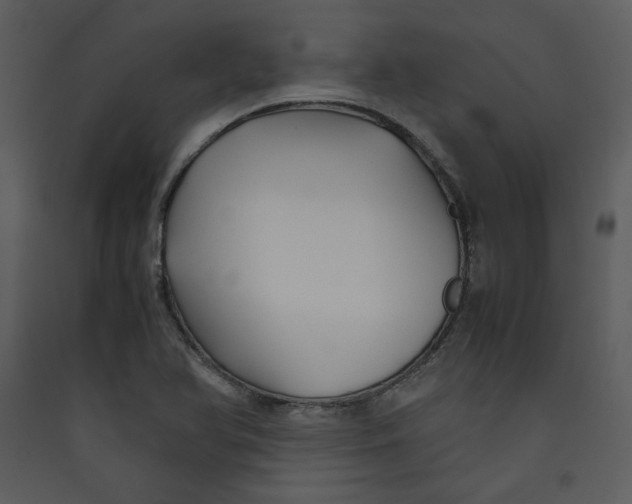 X0000089361366200707131606